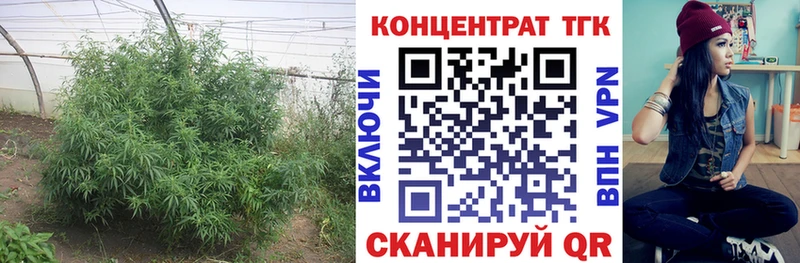 ТГК Wax  Серпухов 