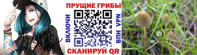 Галлюциногенные грибы MAGIC MUSHROOMS  Серпухов 