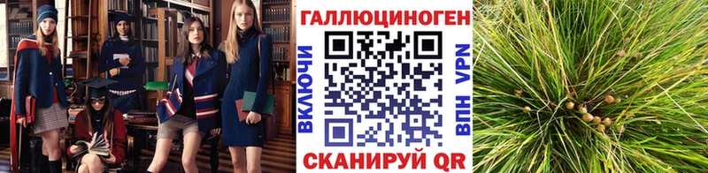 Галлюциногенные грибы MAGIC MUSHROOMS Серпухов